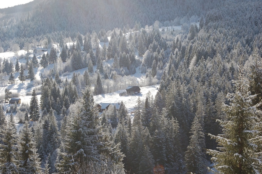 Hala Rycerzowa z góry