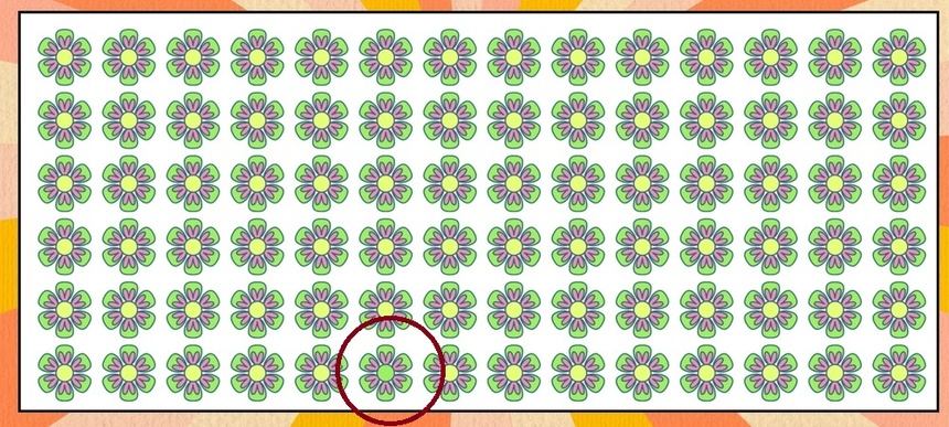 Który kwiat różni się od pozostałych? Rozwiązanie