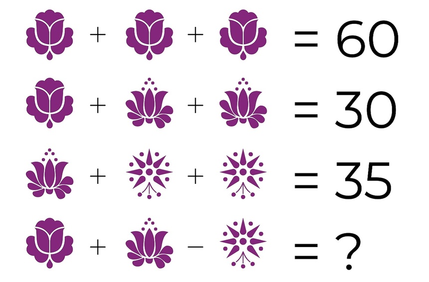 Równania matematyczne. Zadanie