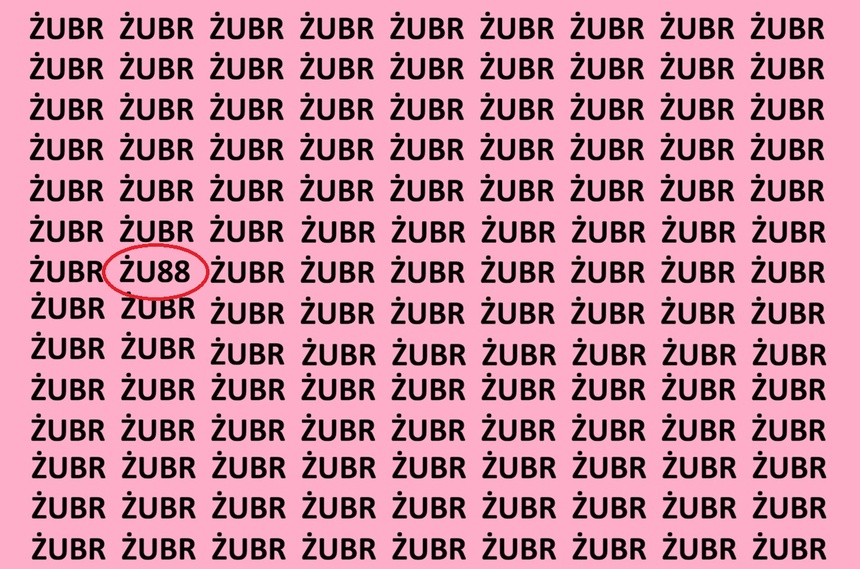 Zagadka optyczna - Żubr. Rozwiązanie