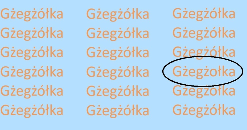 Znajdź błędnie zapisane słowo GŻEGŻÓŁKA. Rozwiązanie