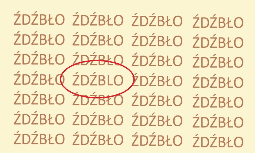 Znajdź błędnie zapisane słowo ŹDŹBŁO. Rozwiązanie