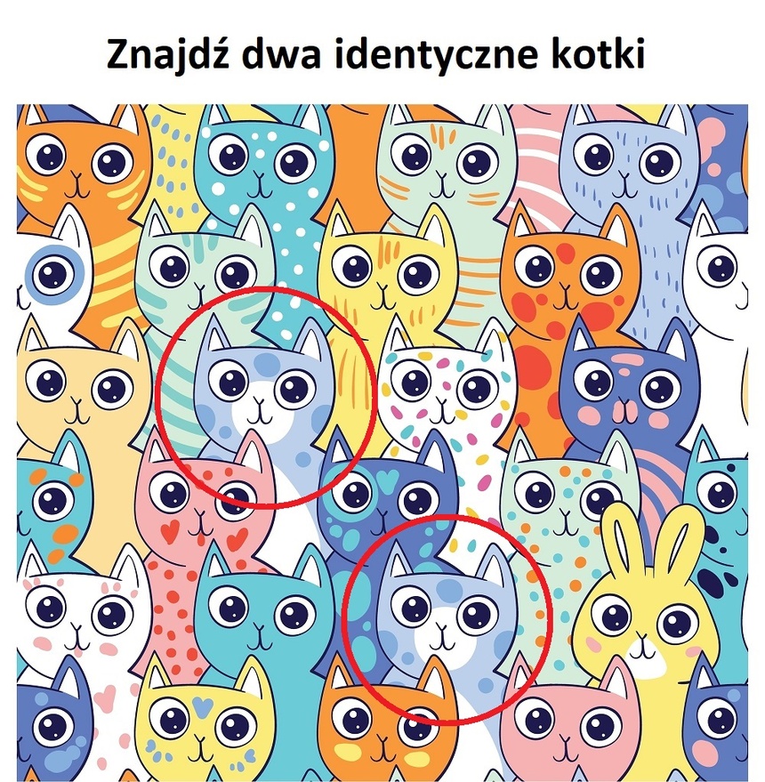 Znajdź dwa identyczne kotki. Rozwiązanie